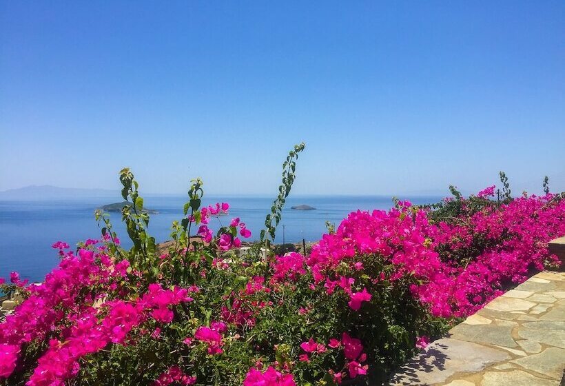 هتل Andros Prive Suites