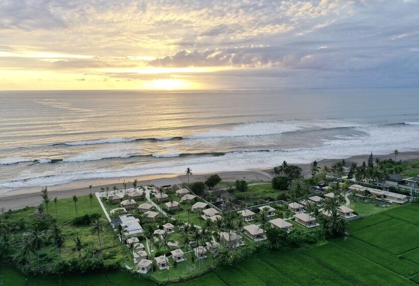 فندق Bali Beach Glamping
