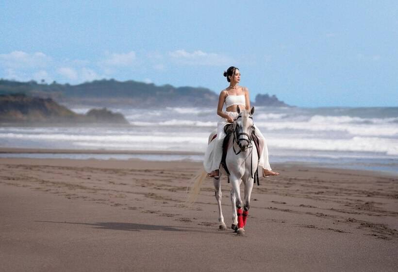 فندق Bali Beach Glamping