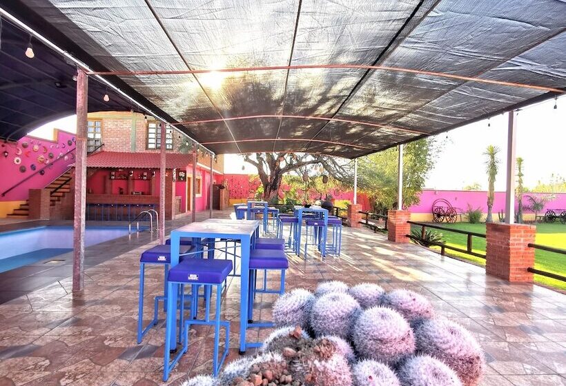 هتل La Estancia Spa