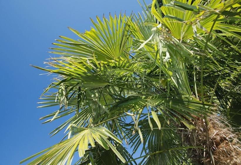 Jardis Boutiquehotel   Adult Only