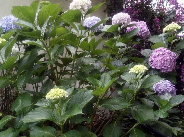 پانسیون La Lomita Del Chingolo