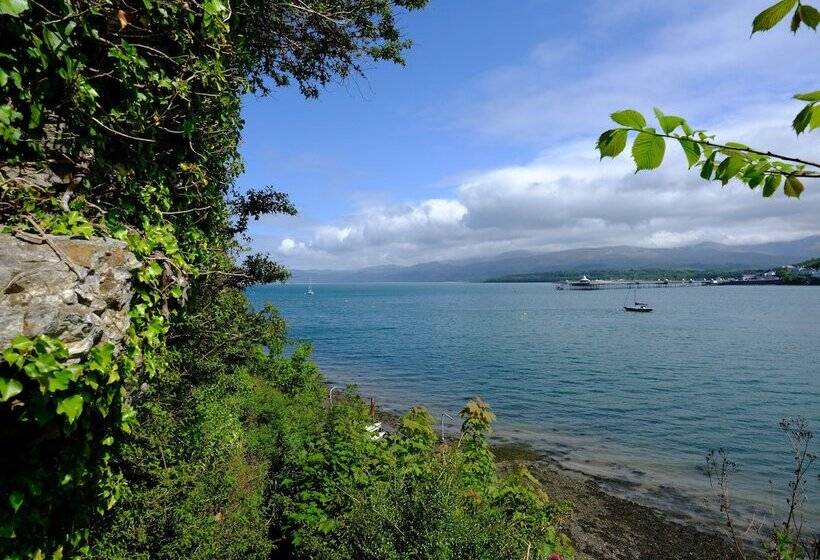 Tan Y Coed