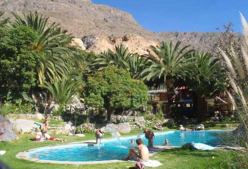 فندق صغير Paraiso Las Palmeras Lodge