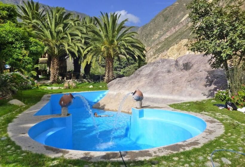 فندق صغير Paraiso Las Palmeras Lodge