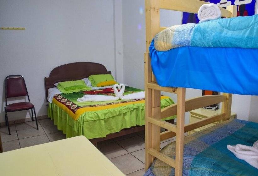 هاستل Santa Cruz Backpackers Hostal