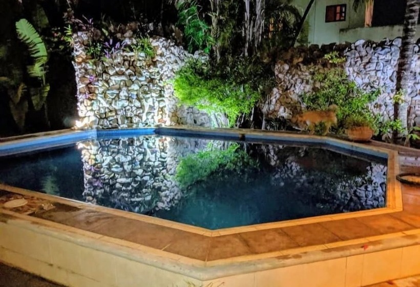 تختخواب و صبحانه Baldwin S Guest House Cozumel