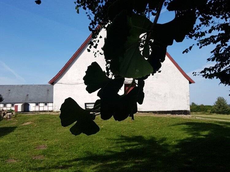 تختخواب و صبحانه Hesede Hovedgård