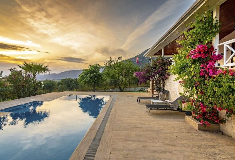 هتل Calypso Lakeview Villas