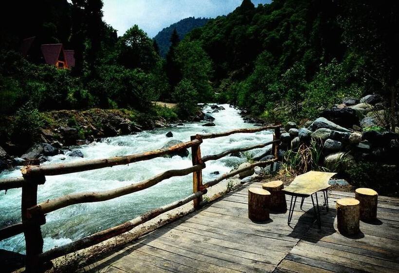 酒店 Foga Bungalov