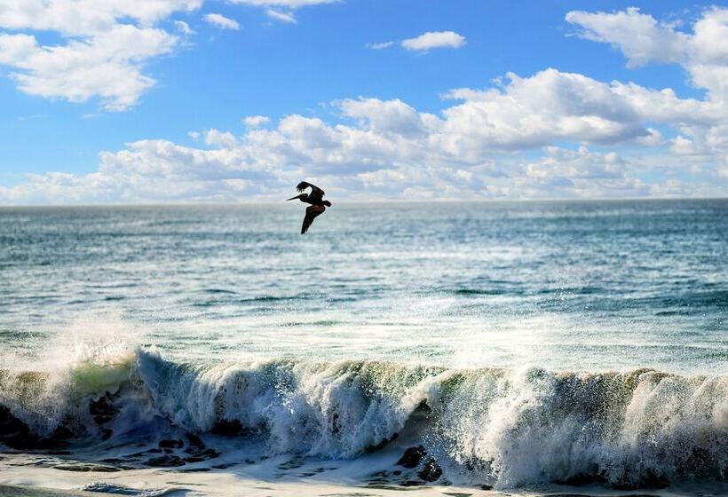 فندق Pedasi Ocean Properties