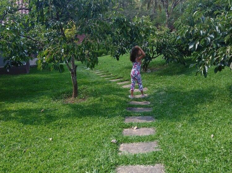 בית מלון כפרי Pousada Recanto Dos Pinheiros