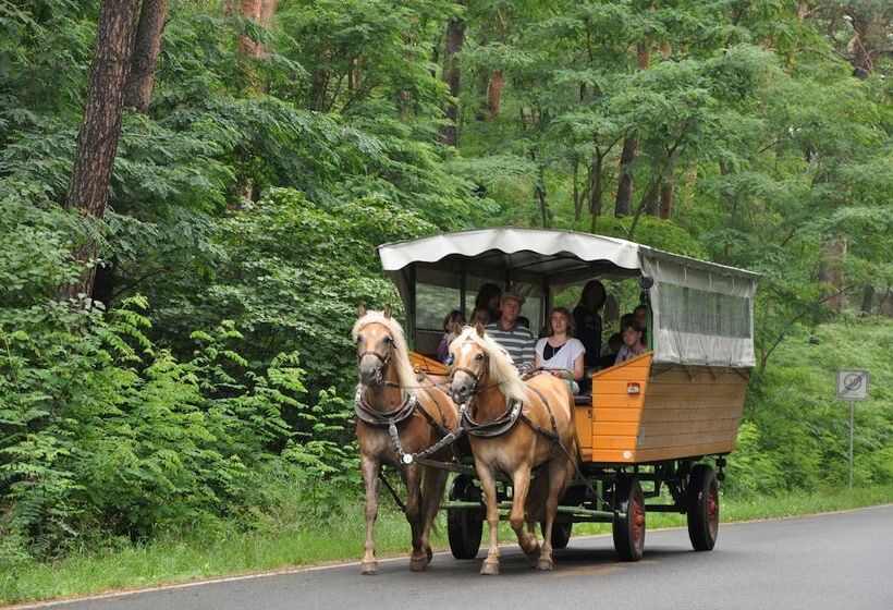 هتل روستایی Haflingerhof Noack