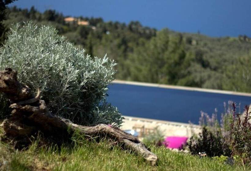 هتل Serenity Boutique Suites