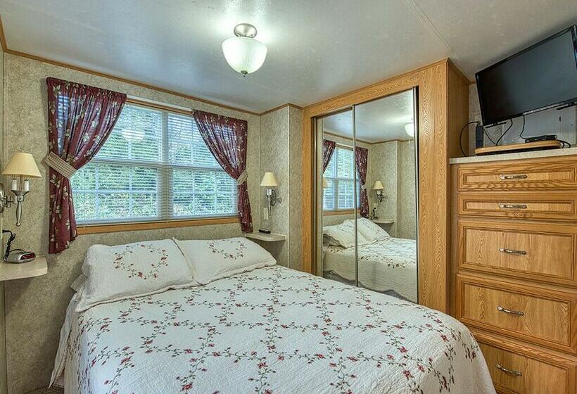 Maggie Valley Cabin Rentals