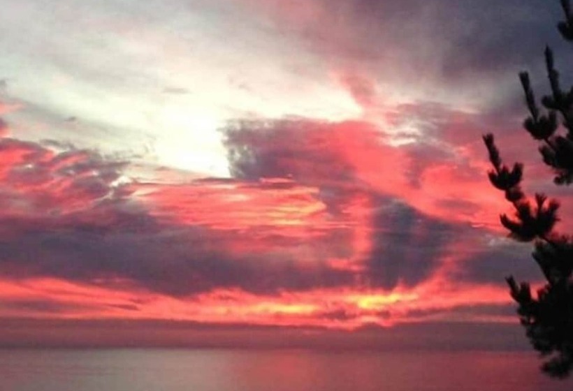 بنسيون Cabañas Buena Vista