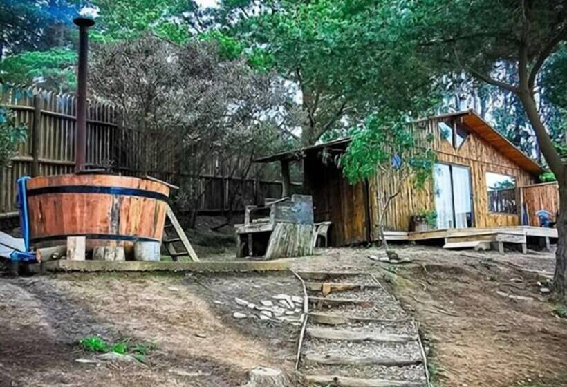 بنسيون Cabañas Buena Vista