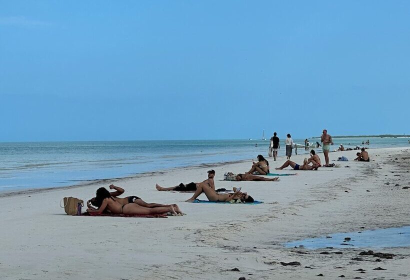 پانسیون Casa Luz Beach Front Holbox