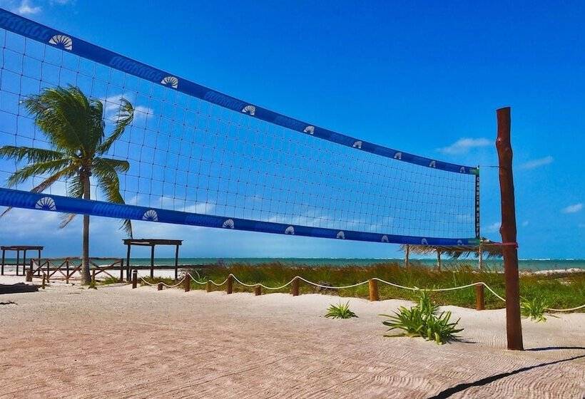 پانسیون Casa Luz Beach Front Holbox