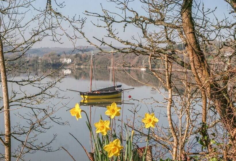 The Daffodil Shed