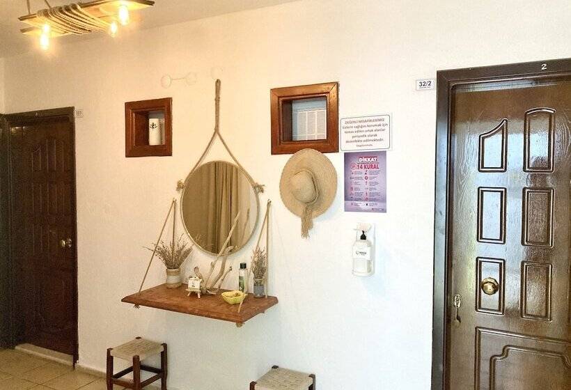 Amigo Apartments