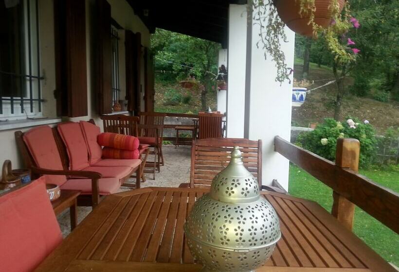 Forest View B&b