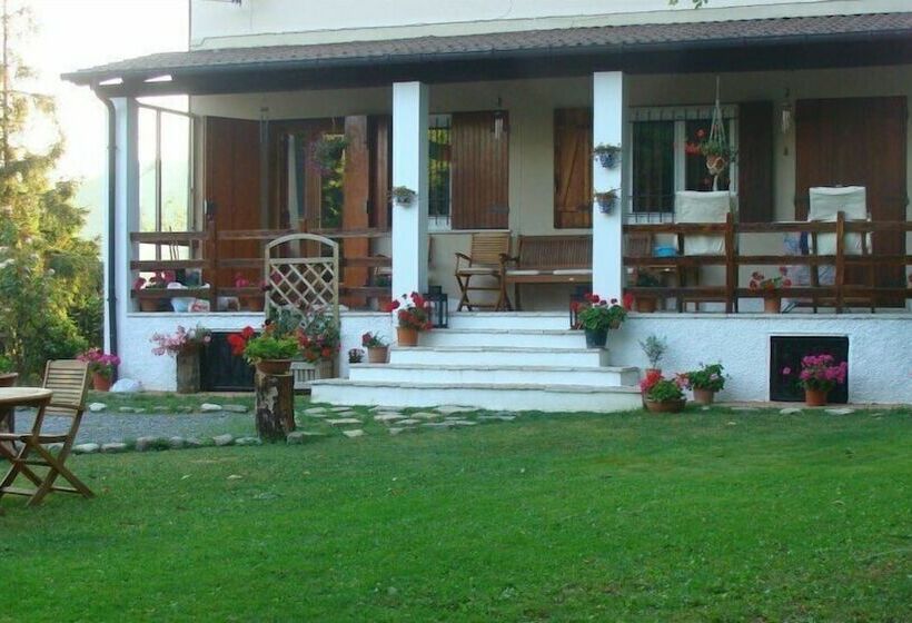 Forest View B&b
