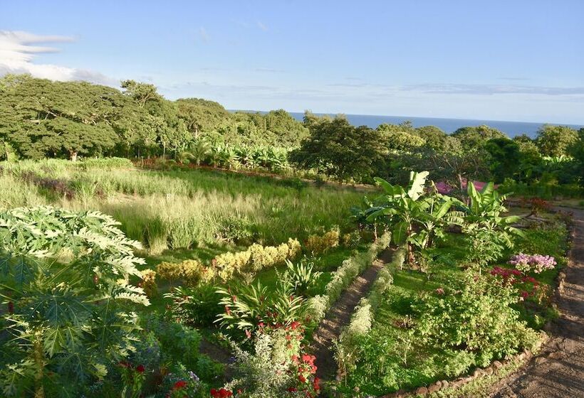 هتل Finca Ometepe