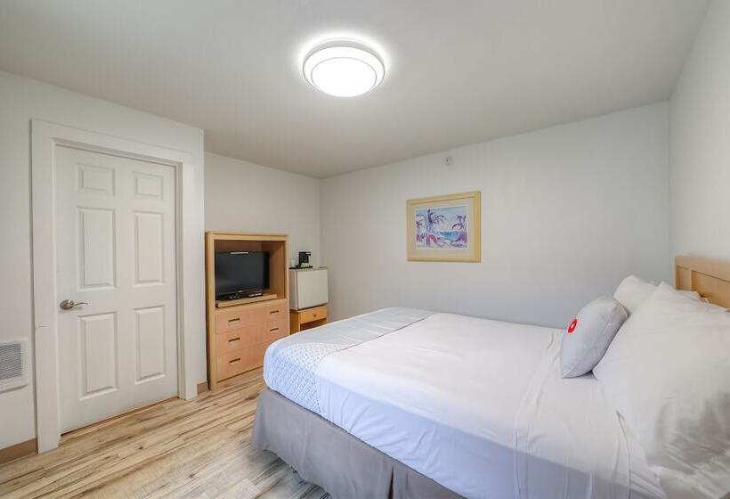 בית מלון כפרי Newport Inn & Suites By Oyo Rooms