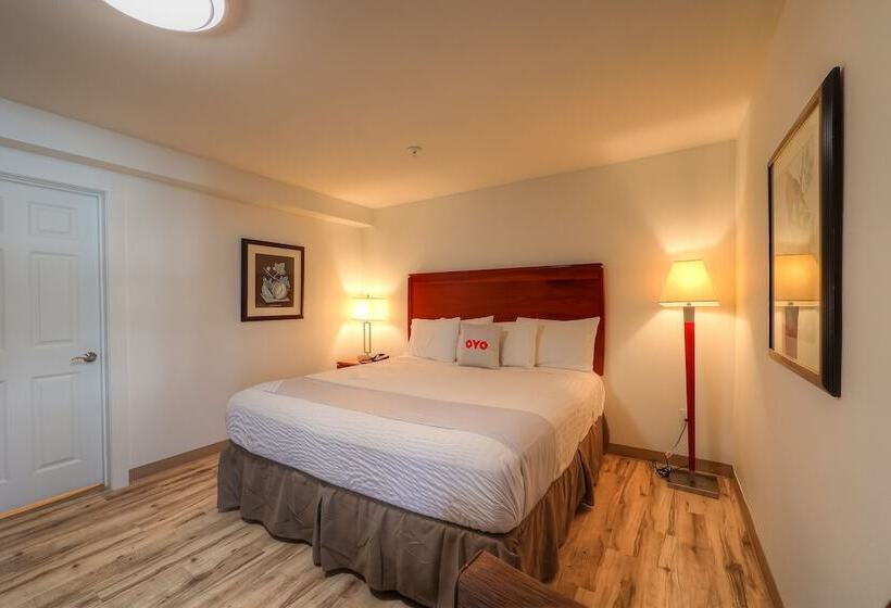 בית מלון כפרי Newport Inn & Suites By Oyo Rooms