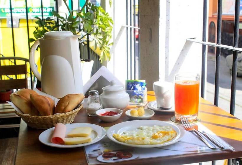 호텔 San Felipe Suites