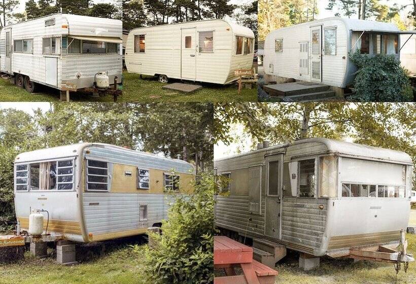酒店 Sou'wester Lodge & Vintage Trailers