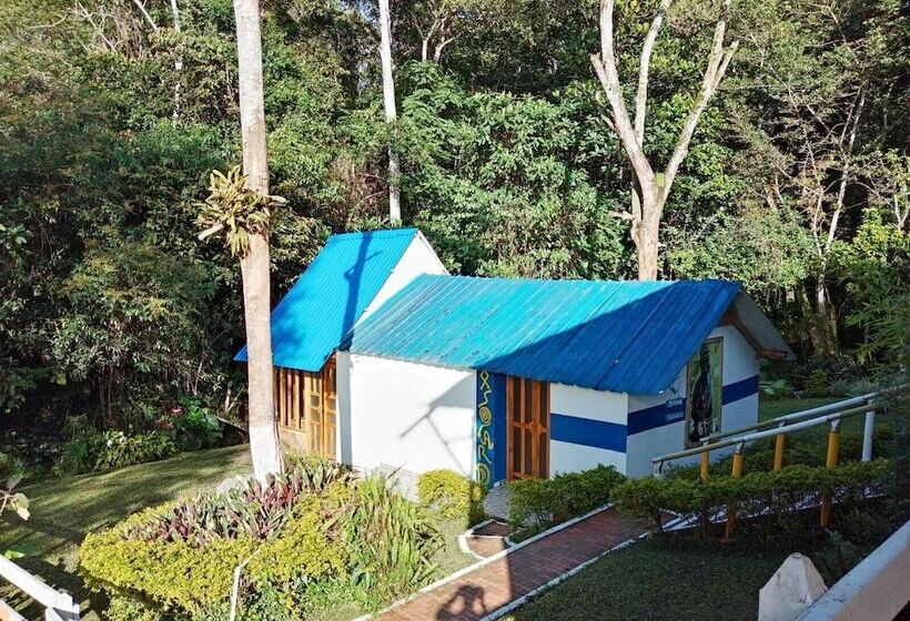 پانسیون Asgard San Agustin Huila