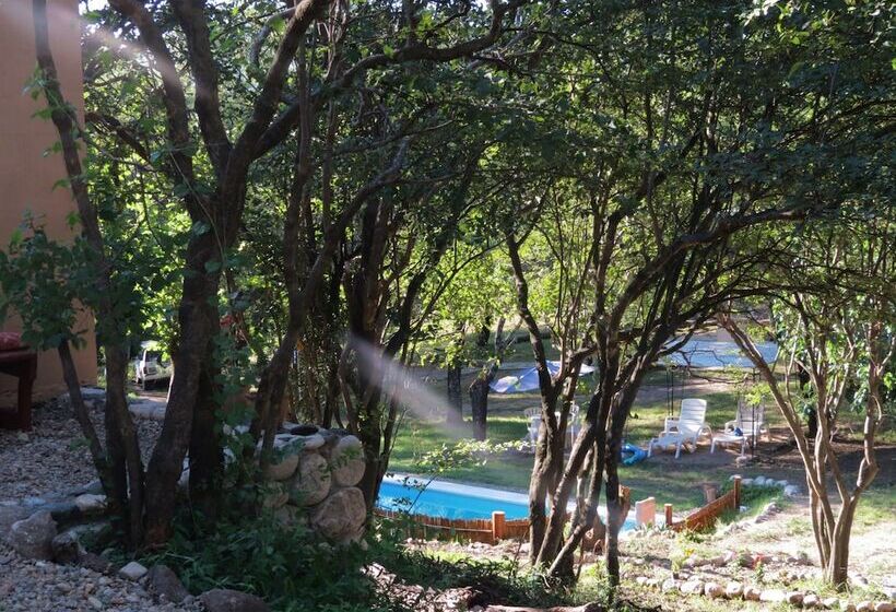 פנסיון Eco Veggie Hostel Balaramapuri