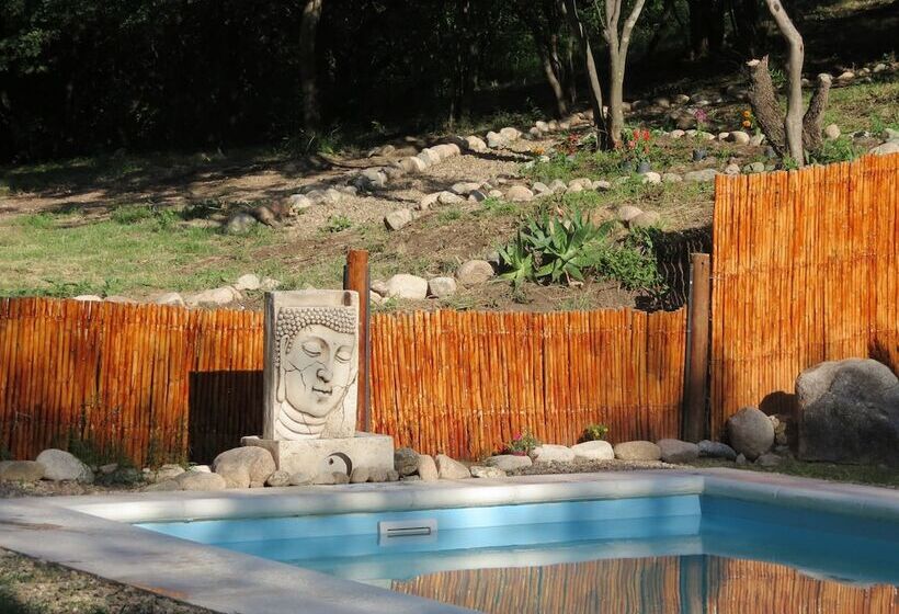 פנסיון Eco Veggie Hostel Balaramapuri