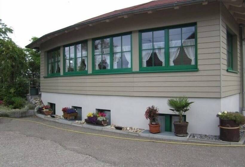 بنسيون Gasthaus Deutscher Jäger