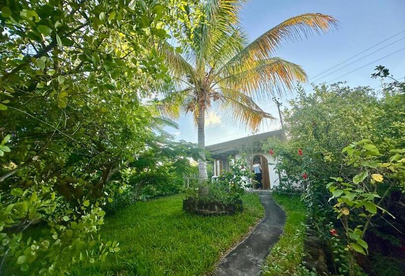 پانسیون Jean's Home