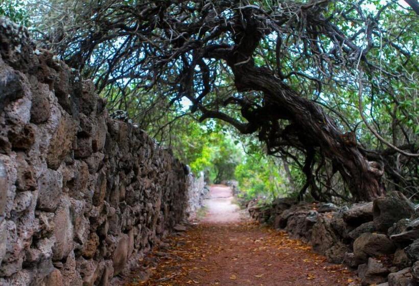 پانسیون Jean's Home