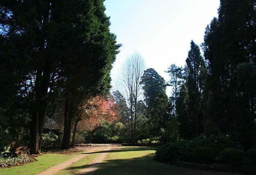 פנסיון Thatchings Guest House