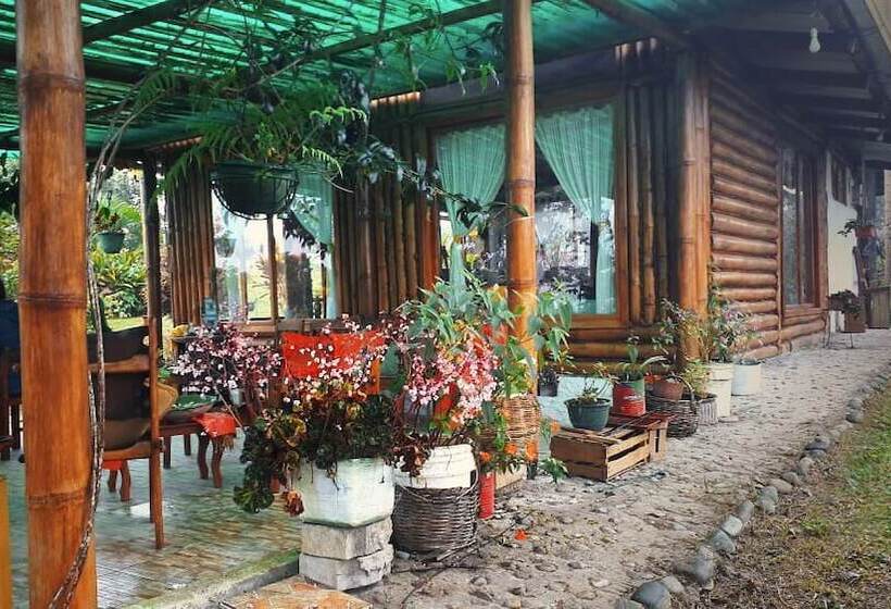 ホテル La Estancia De Lilo
