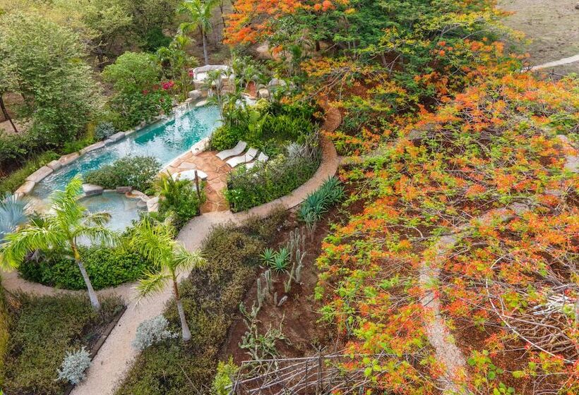 فندق Latica Lodge