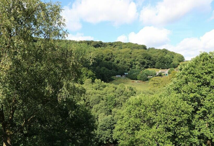 Hove Wood View