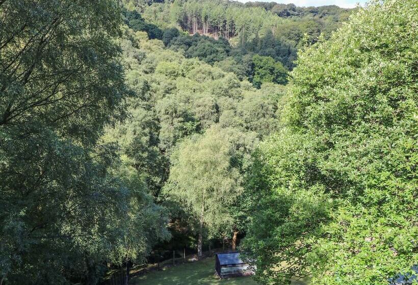 Hove Wood View