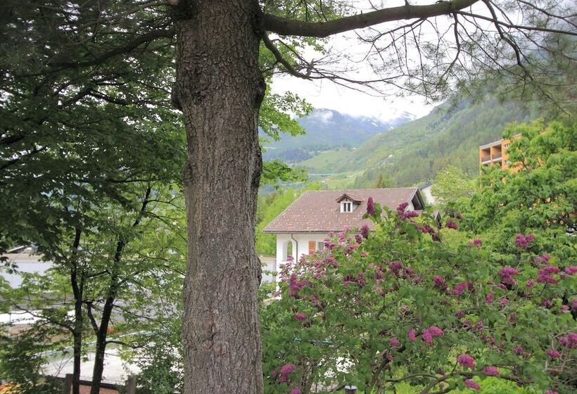 بنسيون Chalet Cuore Delle Alpi