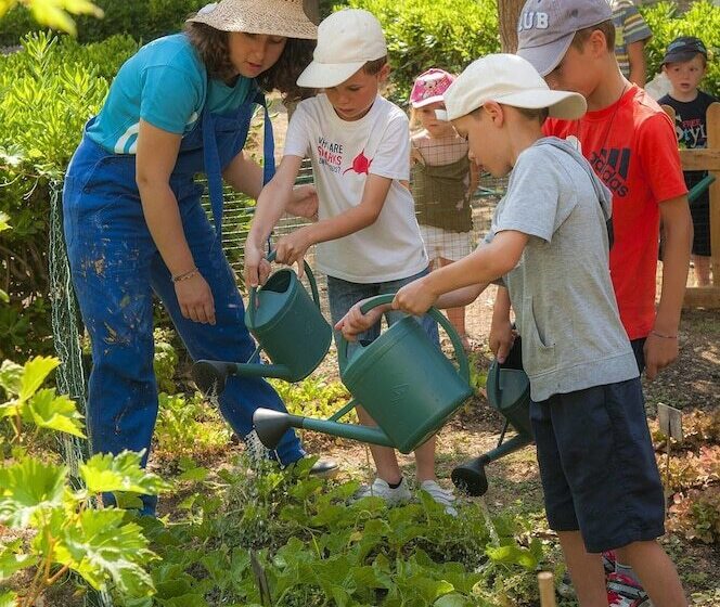 אתר נופש Village Vacances Lo Solehau