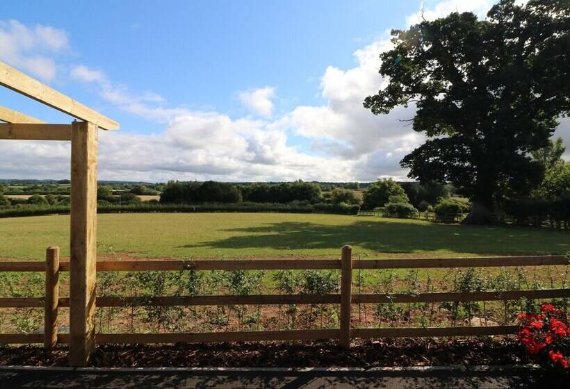 Upham View