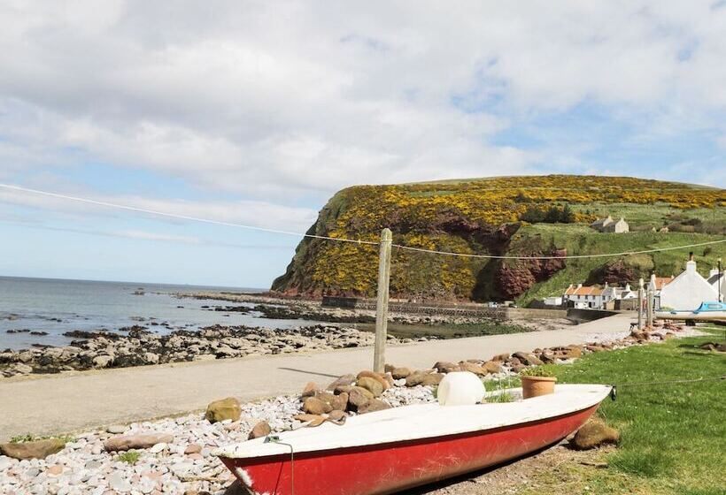 St Magnus Haven