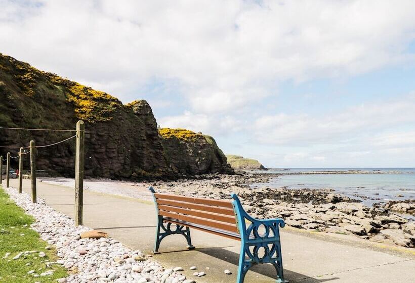 St Magnus Haven