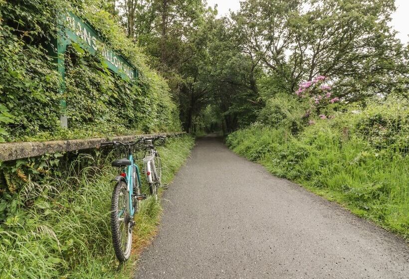 The Halt