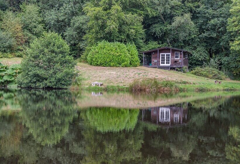 Lakeside Cabin